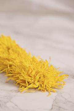 金絲皇菊