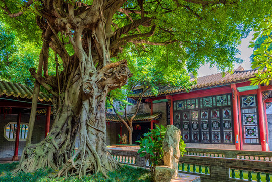 中國廣東佛山順德清暉園