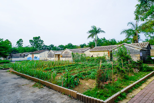 南方農(nóng)村