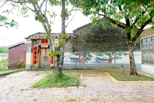 廣東農(nóng)村