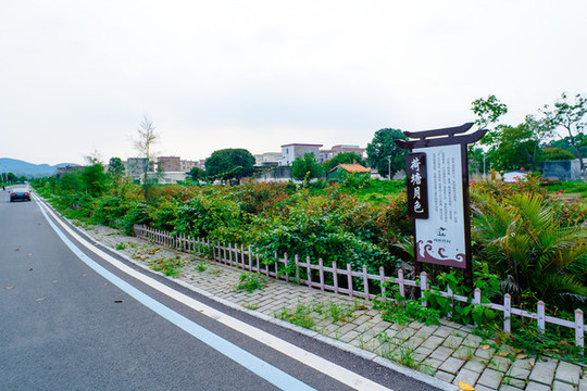 鄉(xiāng)村振興