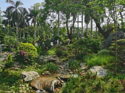 植物園熱帶風光
