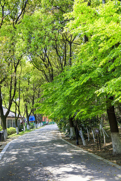 常熟沙家浜風(fēng)景區(qū)