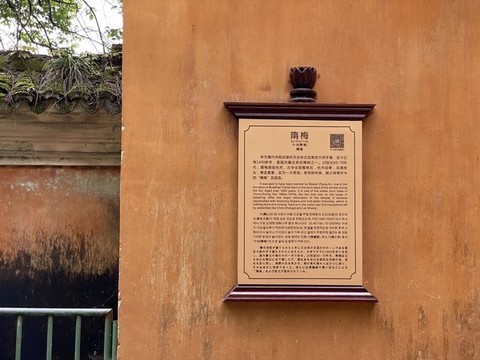 隋梅介紹