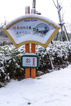 上海嘉定安亭雪景