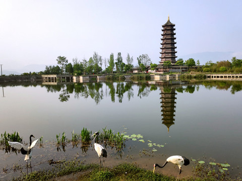 蘭家山公園塔子倒映