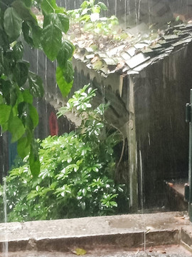 雨絲