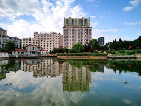 龍?zhí)豆珗@