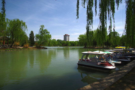 順義臥龍公園