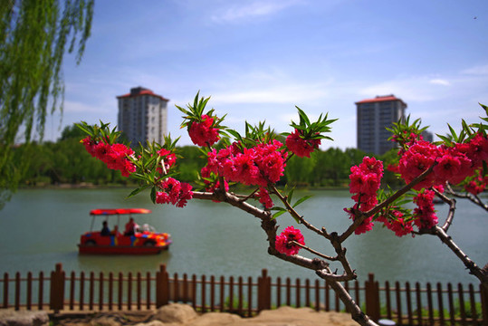 順義臥龍公園