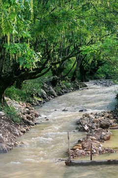 小河漲水