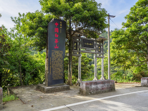 中國白茶山