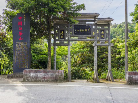 中國白茶山