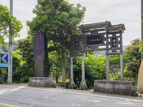 中國白茶山