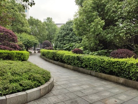 公園綠植