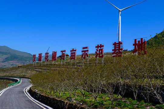 漢源花椒種植示范基地標(biāo)志