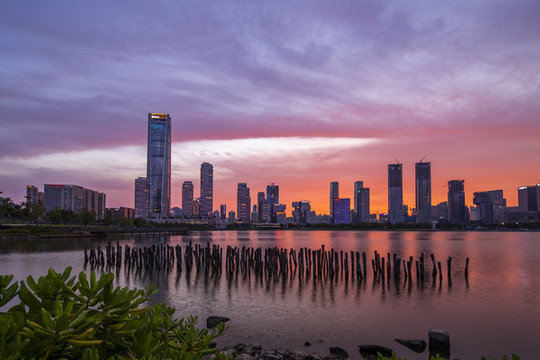 深圳灣