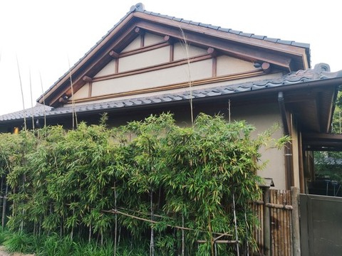 拈花灣民宿建筑