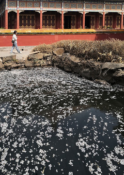 北海公園