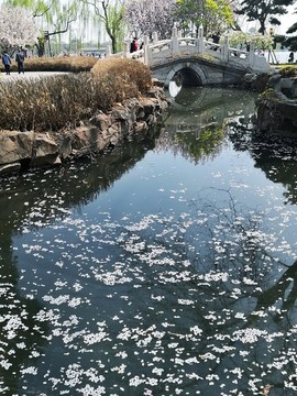 北海公園