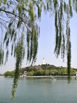 北海公園