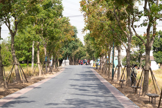 上海嘉北郊野公園