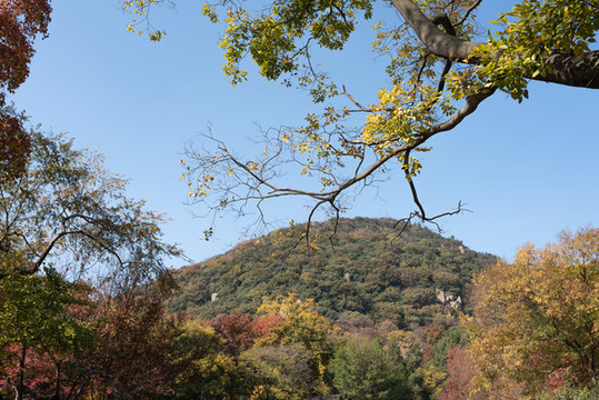 蘇州天平山秋色