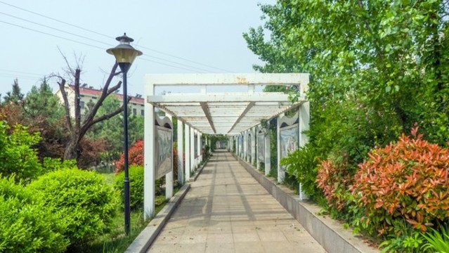 公園長廊