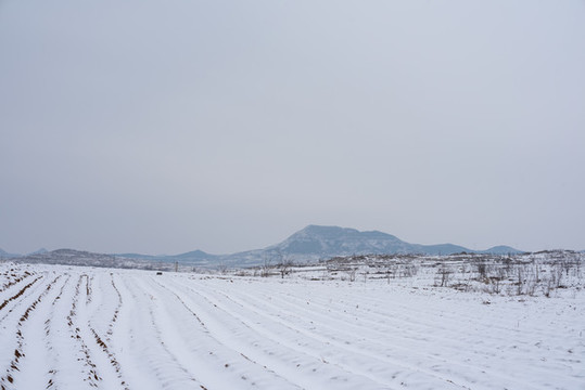 鄉(xiāng)村田園田野雪景