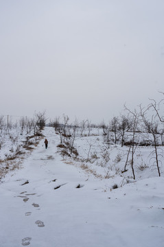 鄉(xiāng)村田園田野雪景