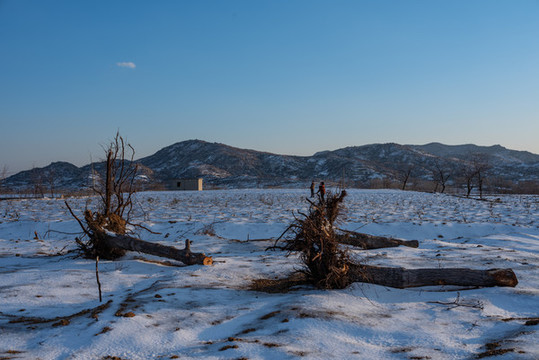 鄉(xiāng)村田園雪地風(fēng)光
