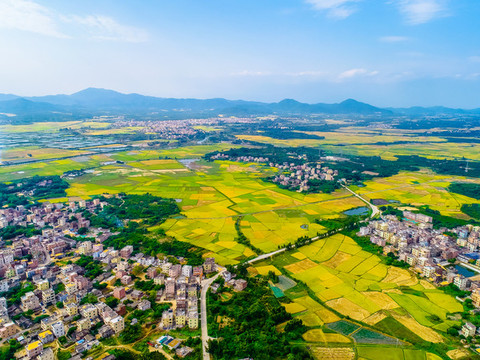 田園風(fēng)光