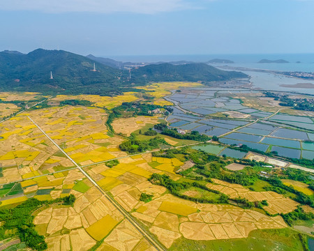 田園風(fēng)光