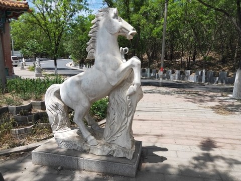 十二生肖之馬全身