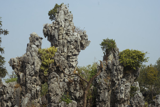假山奇石盆景園林