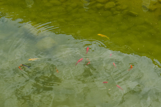養(yǎng)老院