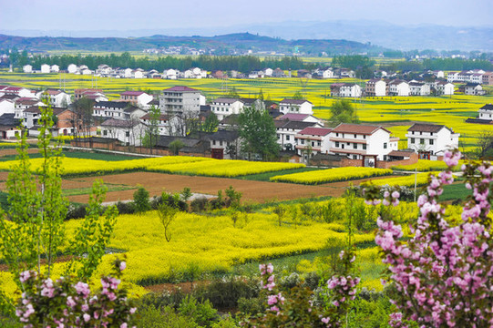 美麗鄉(xiāng)村
