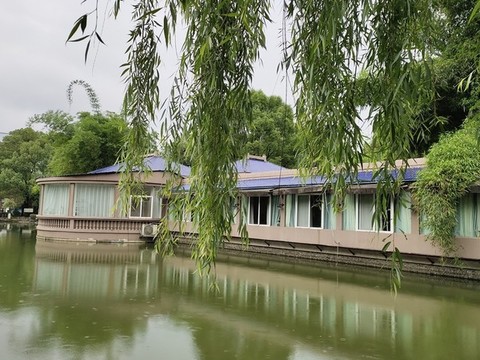 公園里的柳樹