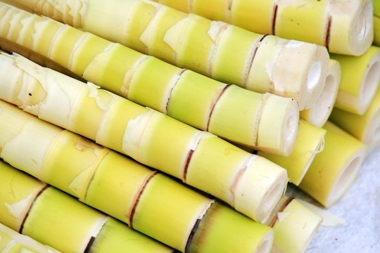 竹筍