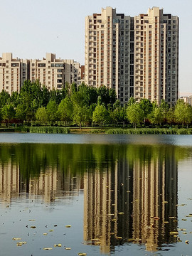 早晨的城市風(fēng)光