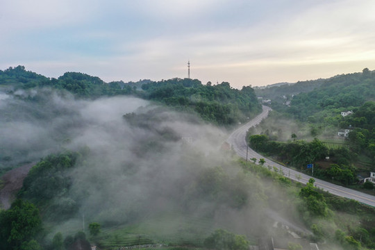 平流霧風光