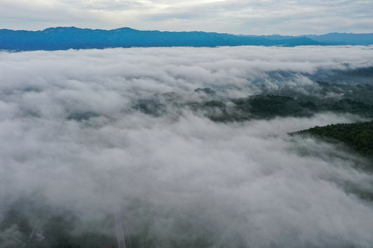 平流霧風光