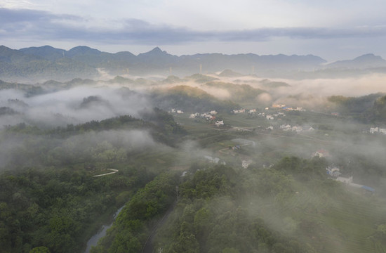 平流霧風光