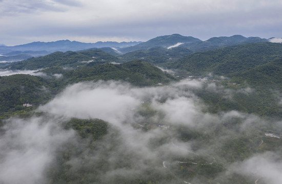 平流霧風景