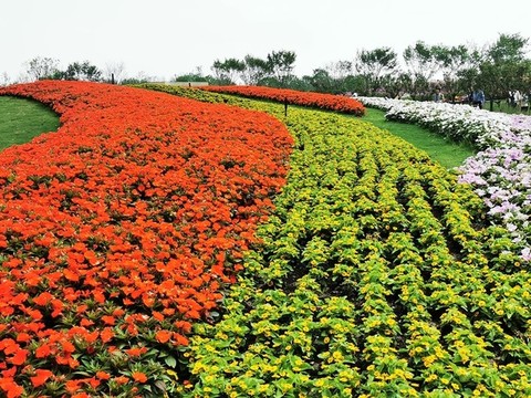第十屆中國(guó)花卉博覽會(huì)