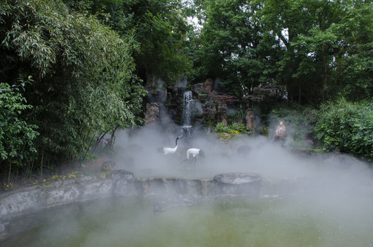 成都動(dòng)物園園林景觀霧森系統(tǒng)