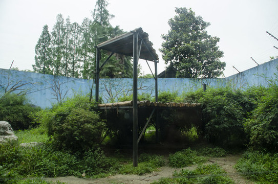 動(dòng)物園建筑設(shè)計(jì)