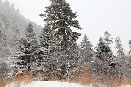雪山