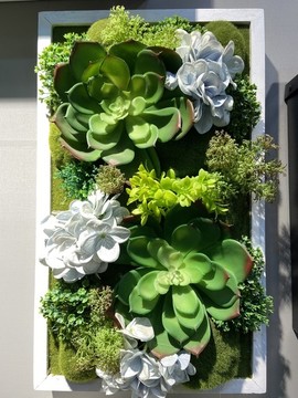 植物墻