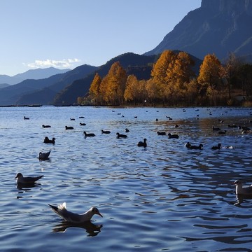 瀘沽湖風(fēng)景